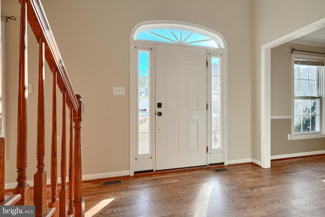 entrance foyer featuring wood-type flooring