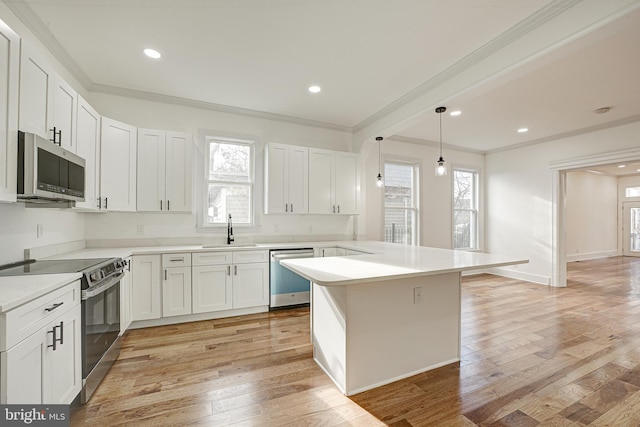 kitchen with stainless steel appliances, light hardwood / wood-style flooring, plenty of natural light, and sink