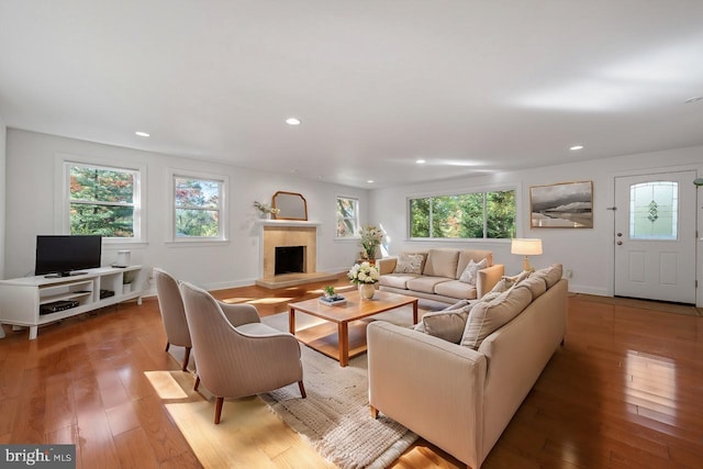 living room featuring hardwood / wood-style flooring