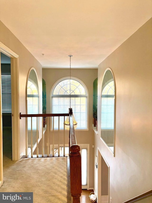 corridor featuring carpet flooring