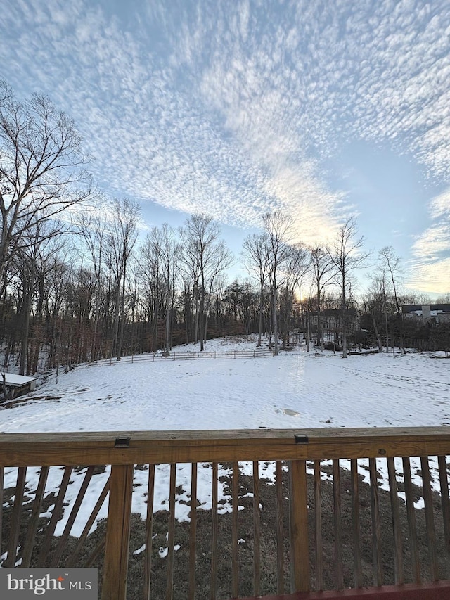 view of yard covered in snow