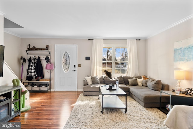 living room featuring crown molding and hardwood / wood-style floors