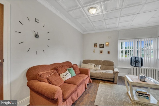 living room with hardwood / wood-style floors, radiator, and ornamental molding