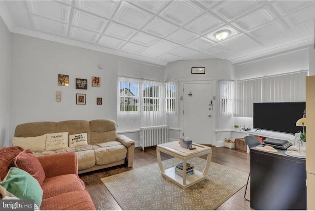 living room featuring radiator and hardwood / wood-style flooring