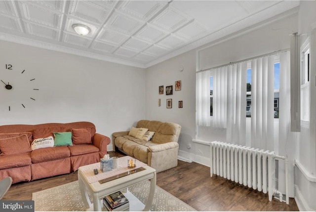 living room featuring radiator, dark wood-type flooring, and ornamental molding