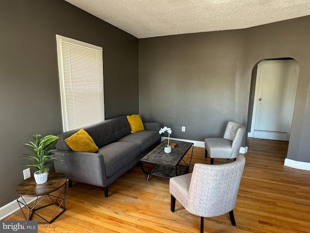 living room featuring light hardwood / wood-style floors and a textured ceiling