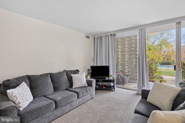 living room with carpet flooring and a wall of windows