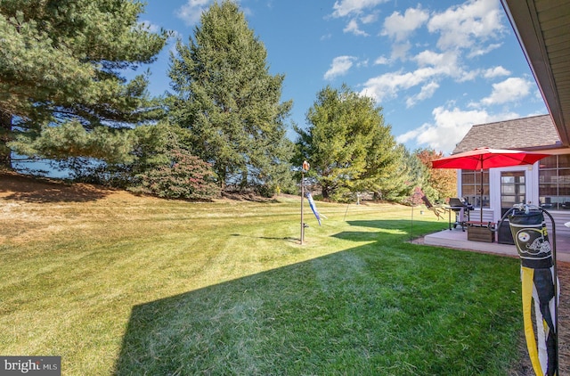 view of yard with a patio