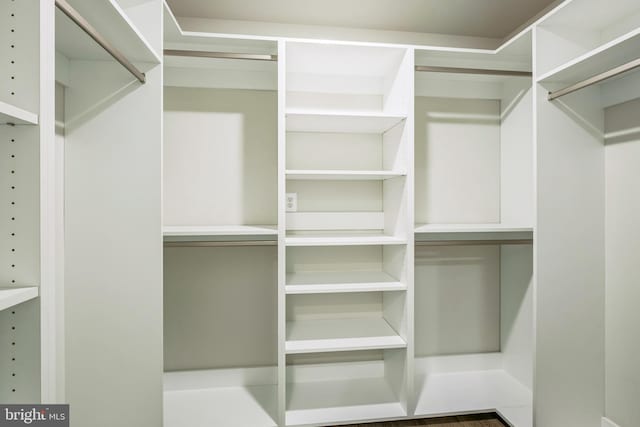 view of walk in closet