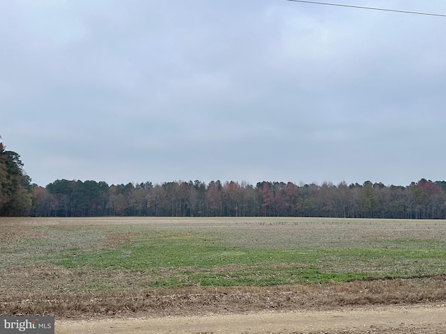 view of yard with a rural view