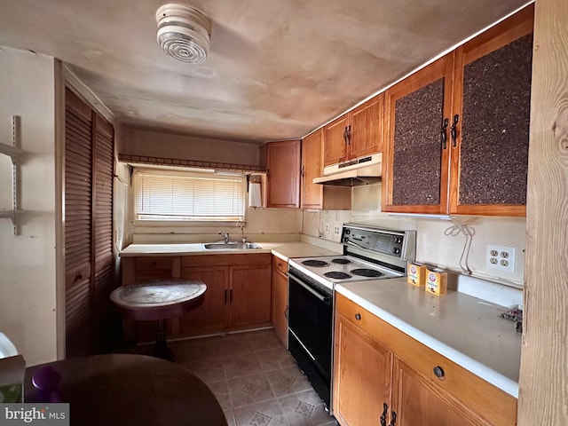 kitchen featuring electric range and sink