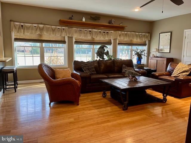 living room featuring ceiling fan and light hardwood / wood-style flooring