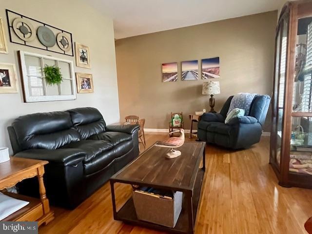 living room featuring wood-type flooring