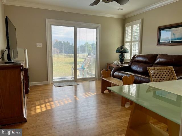 living room with light hardwood / wood-style floors, ceiling fan, and crown molding