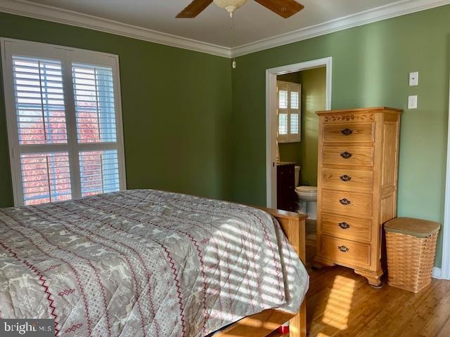 bedroom featuring connected bathroom, ceiling fan, hardwood / wood-style floors, and ornamental molding