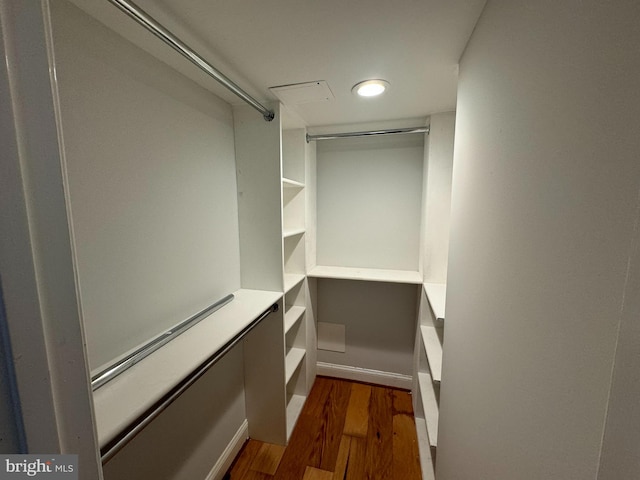 walk in closet featuring dark hardwood / wood-style floors