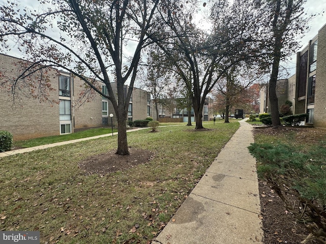 view of community featuring a lawn