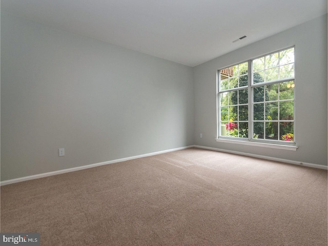 spare room featuring carpet flooring