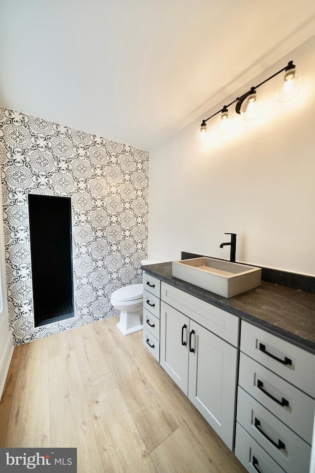 bathroom with vanity, hardwood / wood-style flooring, and toilet