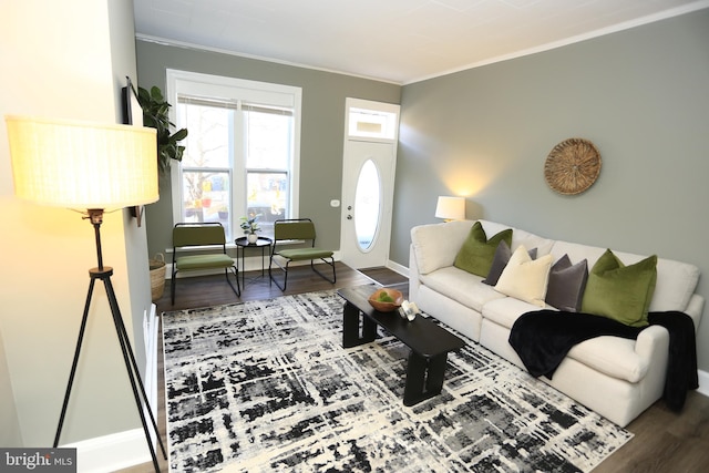 living room with wood-type flooring and ornamental molding