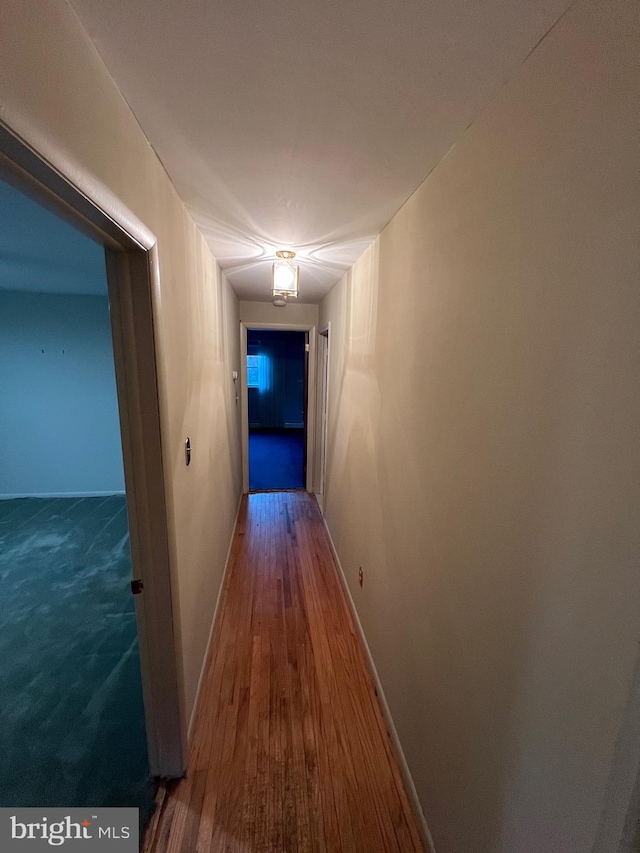 corridor featuring dark hardwood / wood-style flooring