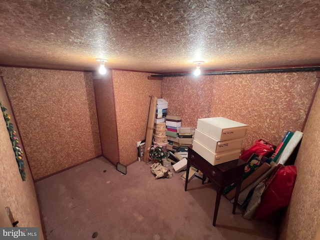 basement with light carpet and a textured ceiling