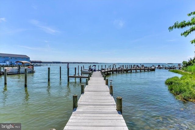 dock area featuring a water view