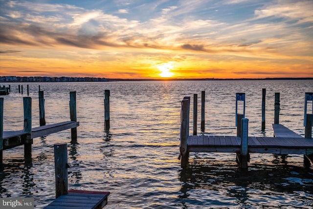 dock area featuring a water view