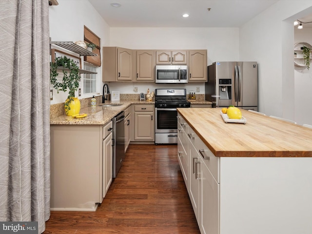 kitchen featuring wood counters, dark hardwood / wood-style flooring, sink, and appliances with stainless steel finishes