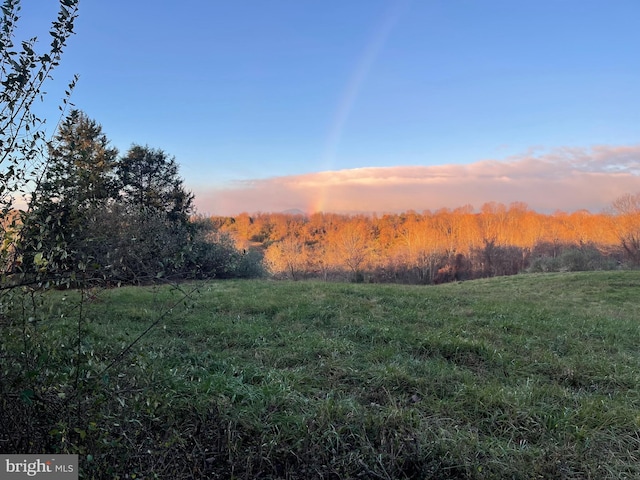 view of nature at dusk