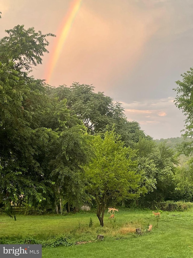 view of nature at dusk