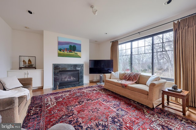 living room with hardwood / wood-style flooring and a tiled fireplace