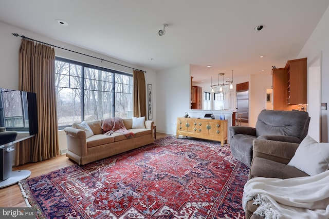 living room featuring light hardwood / wood-style flooring