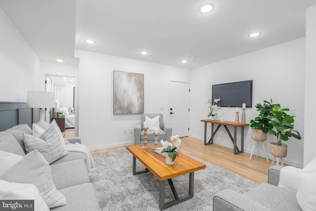 living room featuring light hardwood / wood-style flooring