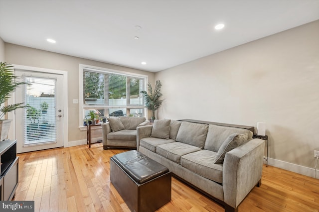 living room featuring light hardwood / wood-style flooring