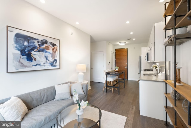 living room featuring sink and dark wood-type flooring