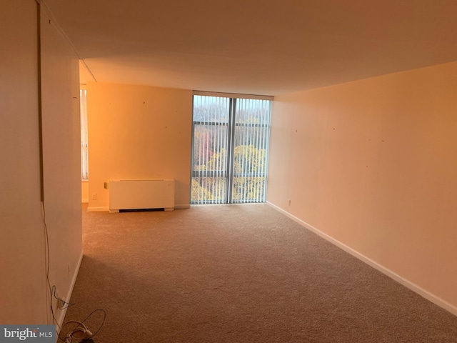 spare room featuring light carpet and radiator heating unit