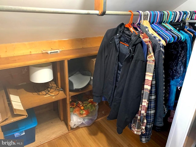 walk in closet with hardwood / wood-style floors