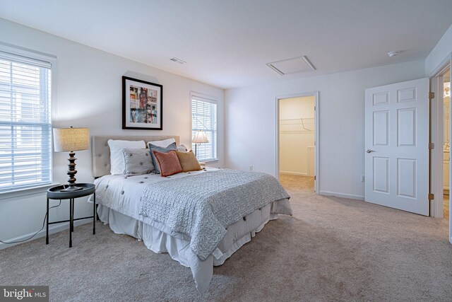 bedroom with a closet, a walk in closet, light carpet, and multiple windows