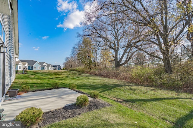 view of yard featuring a patio