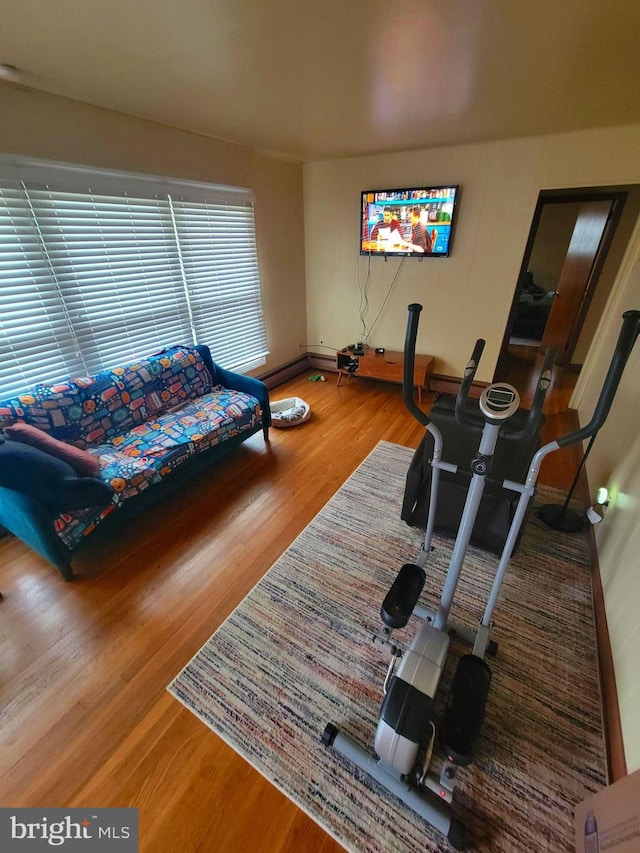 living room with hardwood / wood-style flooring