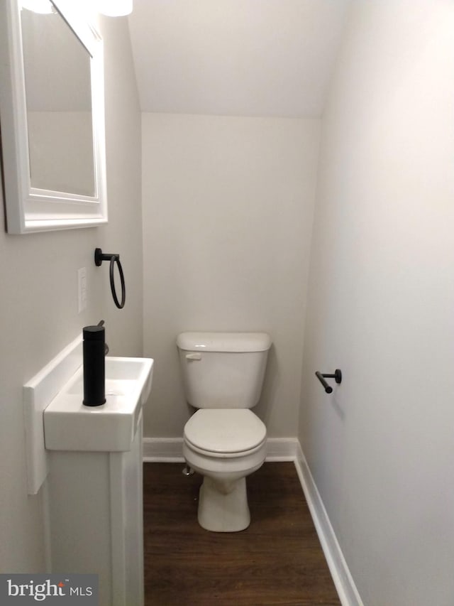 bathroom featuring toilet, vanity, and hardwood / wood-style flooring