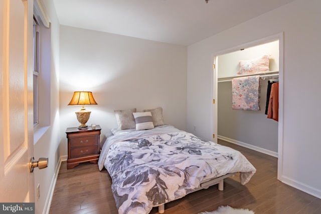 bedroom with a spacious closet, a closet, and dark wood-type flooring