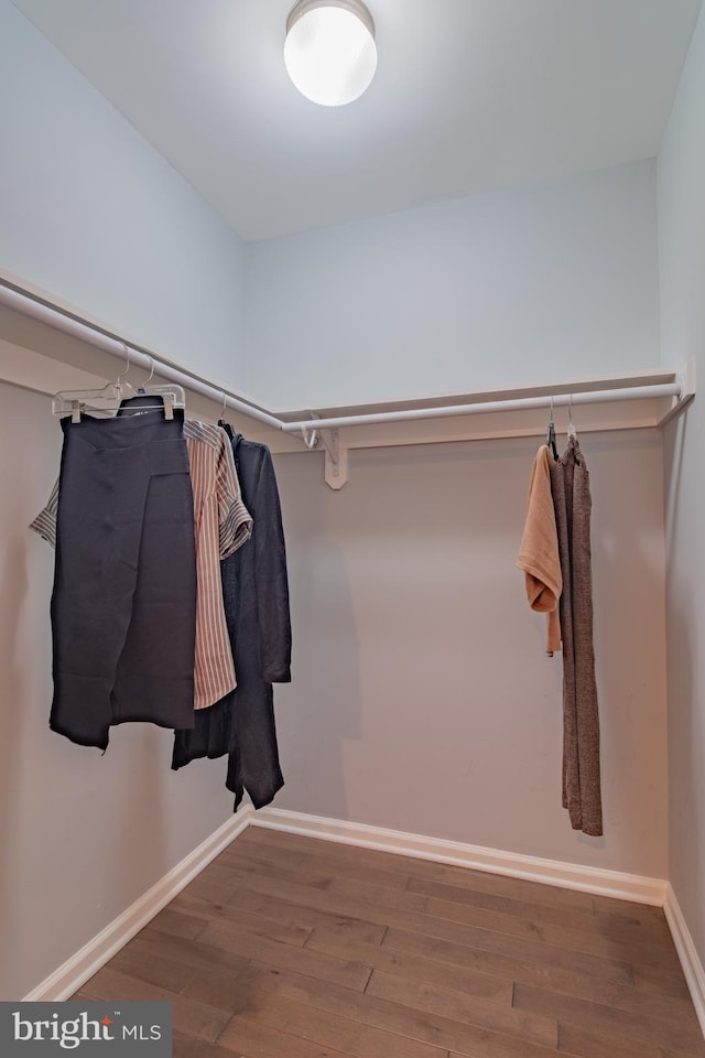 spacious closet with hardwood / wood-style flooring