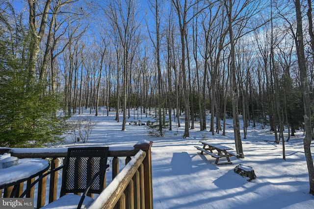 view of snowy yard