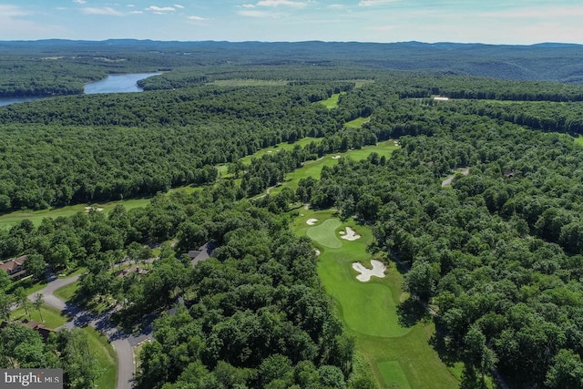 drone / aerial view featuring a water and mountain view