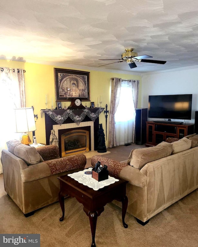 living area featuring carpet floors, a fireplace, a ceiling fan, and crown molding