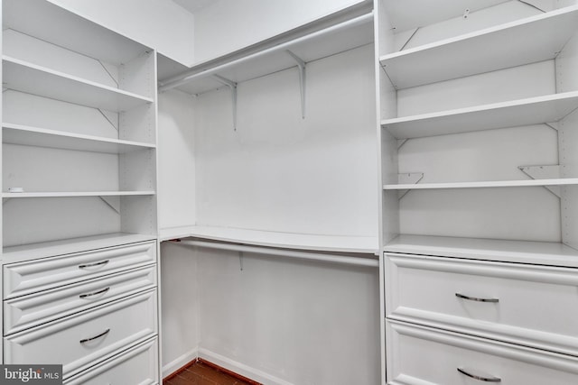 walk in closet featuring hardwood / wood-style floors