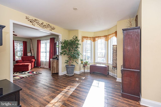 foyer entrance with dark hardwood / wood-style flooring