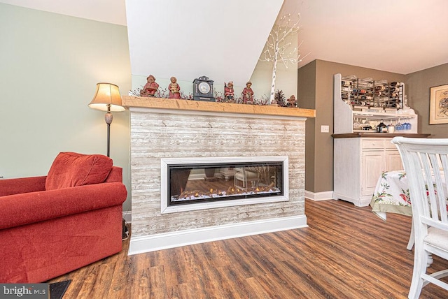 living room with hardwood / wood-style floors and a fireplace